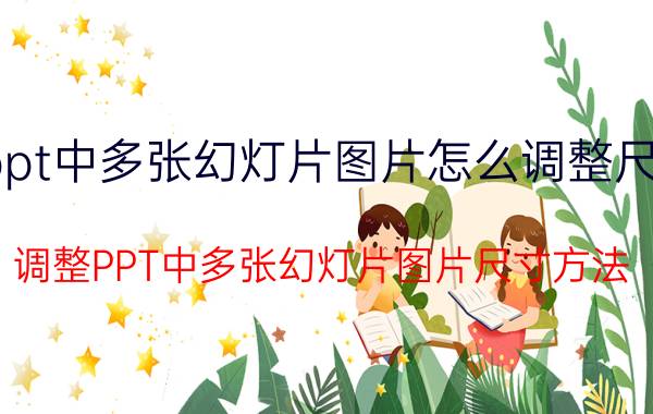 ppt中多张幻灯片图片怎么调整尺寸 调整PPT中多张幻灯片图片尺寸方法